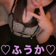 ヒメ日記 2025/07/08 07:19 投稿 フウカ 月兎（GET）