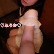 ヒメ日記 2025/07/29 06:16 投稿 フウカ 月兎（GET）