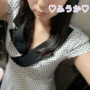 ヒメ日記 2025/07/31 07:46 投稿 フウカ 月兎（GET）