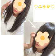 ヒメ日記 2025/08/05 06:47 投稿 フウカ 月兎（GET）