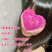 ヒメ日記 2025/09/03 20:27 投稿 フウカ 月兎（GET）