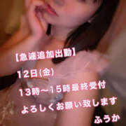 ヒメ日記 2025/09/12 06:27 投稿 フウカ 月兎（GET）