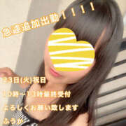 ヒメ日記 2025/09/21 15:24 投稿 フウカ 月兎（GET）