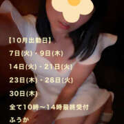 ヒメ日記 2025/09/28 09:40 投稿 フウカ 月兎（GET）