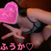 ヒメ日記 2025/10/17 08:00 投稿 フウカ 月兎（GET）