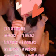 ヒメ日記 2025/10/28 08:18 投稿 フウカ 月兎（GET）