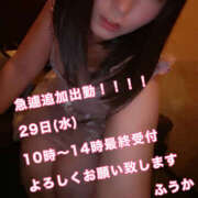 ヒメ日記 2025/10/28 17:21 投稿 フウカ 月兎（GET）