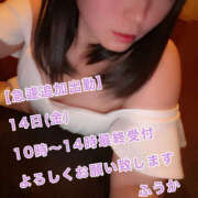 ヒメ日記 2025/11/13 18:59 投稿 フウカ 月兎（GET）