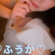 ヒメ日記 2025/11/14 09:49 投稿 フウカ 月兎（GET）