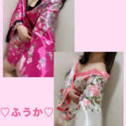 ヒメ日記 2025/11/24 06:31 投稿 フウカ 月兎（GET）