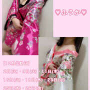 ヒメ日記 2025/11/30 12:03 投稿 フウカ 月兎（GET）