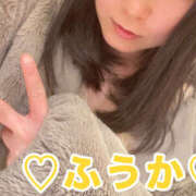 ヒメ日記 2026/01/27 10:14 投稿 フウカ 月兎（GET）