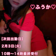 ヒメ日記 2026/02/01 12:42 投稿 フウカ 月兎（GET）