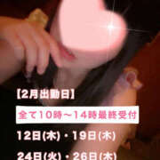 ヒメ日記 2026/02/10 20:47 投稿 フウカ 月兎（GET）