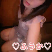 ヒメ日記 2026/02/26 10:22 投稿 フウカ 月兎（GET）