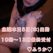 ヒメ日記 2026/03/05 05:36 投稿 フウカ 月兎（GET）