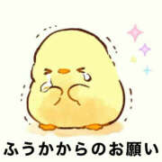 ヒメ日記 2026/03/05 08:29 投稿 フウカ 月兎（GET）