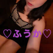 ヒメ日記 2026/03/10 11:15 投稿 フウカ 月兎（GET）