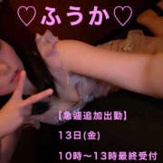 ヒメ日記 2026/03/12 18:37 投稿 フウカ 月兎（GET）