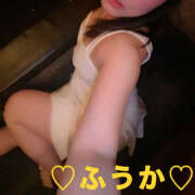 ヒメ日記 2026/03/17 07:57 投稿 フウカ 月兎（GET）