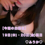 ヒメ日記 2026/03/19 07:36 投稿 フウカ 月兎（GET）