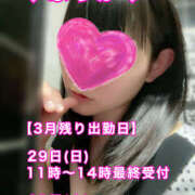 ヒメ日記 2026/03/28 09:25 投稿 フウカ 月兎（GET）