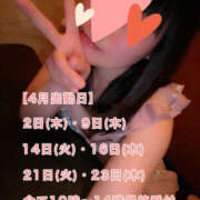 ヒメ日記 2026/03/29 09:19 投稿 フウカ 月兎（GET）