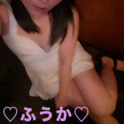 ヒメ日記 2026/04/02 07:45 投稿 フウカ 月兎（GET）