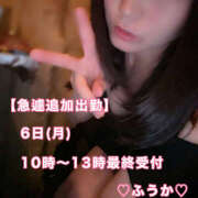 ヒメ日記 2026/04/05 09:26 投稿 フウカ 月兎（GET）