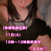 ヒメ日記 2026/04/10 17:28 投稿 フウカ 月兎（GET）