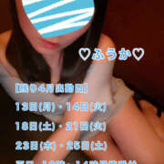 ヒメ日記 2026/04/12 11:38 投稿 フウカ 月兎（GET）