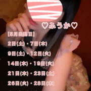 ヒメ日記 2026/05/01 06:38 投稿 フウカ 月兎（GET）
