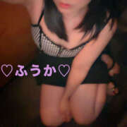 ヒメ日記 2026/05/12 08:27 投稿 フウカ 月兎（GET）