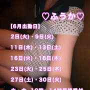 ヒメ日記 2026/05/26 09:43 投稿 フウカ 月兎（GET）