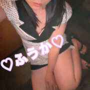 ヒメ日記 2026/06/13 09:52 投稿 フウカ 月兎（GET）