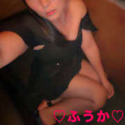 ヒメ日記 2026/10/13 09:32 投稿 フウカ 月兎（GET）
