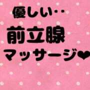 ヒメ日記 2024/01/20 10:30 投稿 あおい 御奉仕関係 -淑女の秘め事-