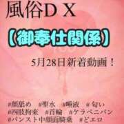 ヒメ日記 2024/05/28 18:30 投稿 あおい 御奉仕関係 -淑女の秘め事-