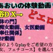 ヒメ日記 2024/10/06 01:45 投稿 あおい 御奉仕関係 -淑女の秘め事-