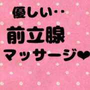 ヒメ日記 2024/10/09 20:16 投稿 あおい 御奉仕関係 -淑女の秘め事-