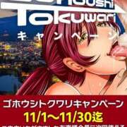 ヒメ日記 2024/11/01 01:45 投稿 あおい 御奉仕関係 -淑女の秘め事-