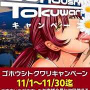 ヒメ日記 2024/11/03 22:30 投稿 あおい 御奉仕関係 -淑女の秘め事-