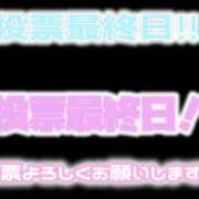 ヒメ日記 2024/11/04 19:46 投稿 あおい 御奉仕関係 -淑女の秘め事-