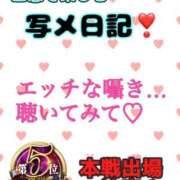 ヒメ日記 2024/11/15 13:15 投稿 あおい 御奉仕関係 -淑女の秘め事-