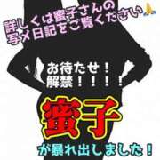 ヒメ日記 2024/11/26 23:15 投稿 あおい 御奉仕関係 -淑女の秘め事-