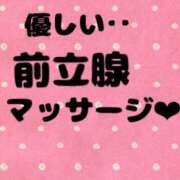 ヒメ日記 2024/12/20 18:02 投稿 あおい 御奉仕関係 -淑女の秘め事-