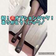 ヒメ日記 2025/01/12 21:15 投稿 あおい 御奉仕関係 -淑女の秘め事-