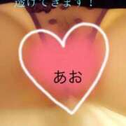 ヒメ日記 2025/01/23 17:01 投稿 あおい 御奉仕関係 -淑女の秘め事-