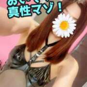 ヒメ日記 2025/02/01 10:30 投稿 あおい 御奉仕関係 -淑女の秘め事-