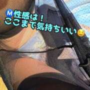 ヒメ日記 2025/02/15 23:15 投稿 あおい 御奉仕関係 -淑女の秘め事-